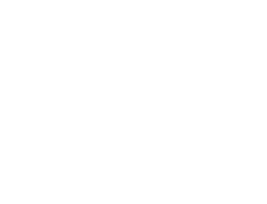 CARAPINTA