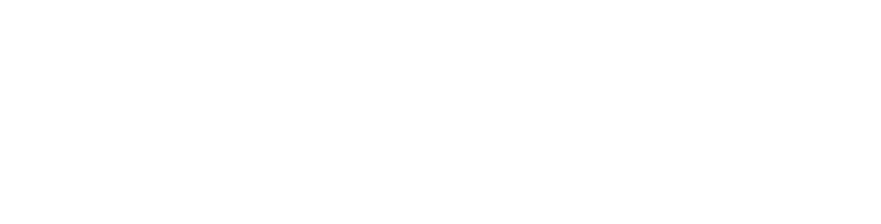 RAoMAoRI